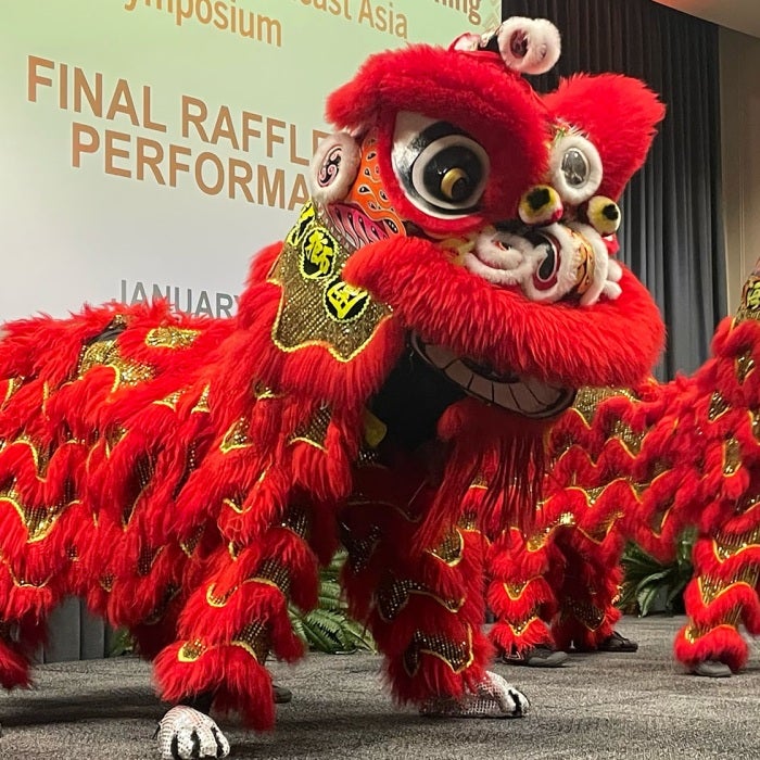 dragon dancers perform