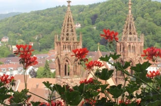 a view of a castle and mountains in germany